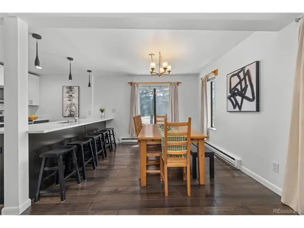 315 S 2nd #105, Frisco, CO 80443