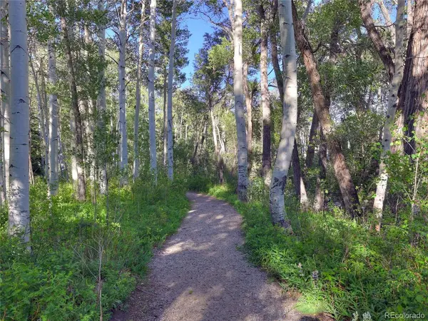 17550 Primrose, Buena Vista, CO 81211