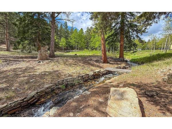 412 Highway 7 Business, Allenspark, CO 80510