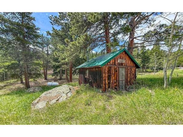 412 Highway 7 Business, Allenspark, CO 80510