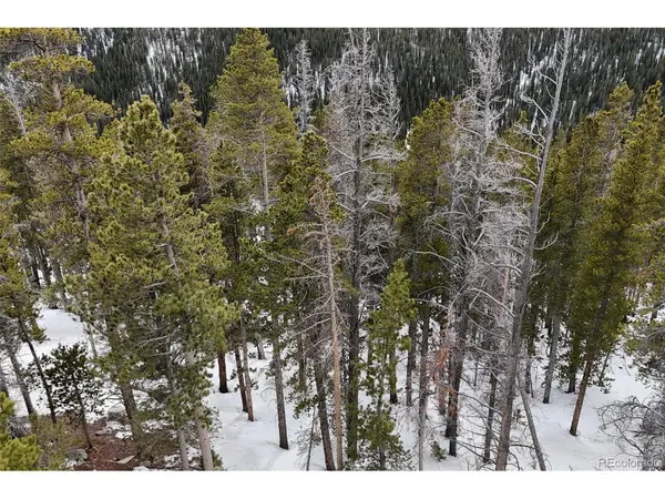156 Vista, Idaho Springs, CO 80452