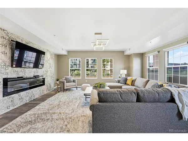 925 N Lincoln #5B, Denver, CO 80203
