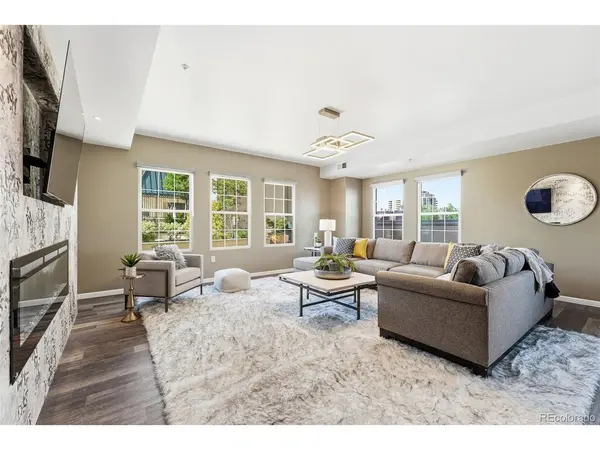 925 N Lincoln #5B, Denver, CO 80203