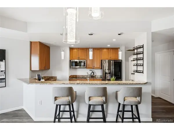 925 N Lincoln #5B, Denver, CO 80203