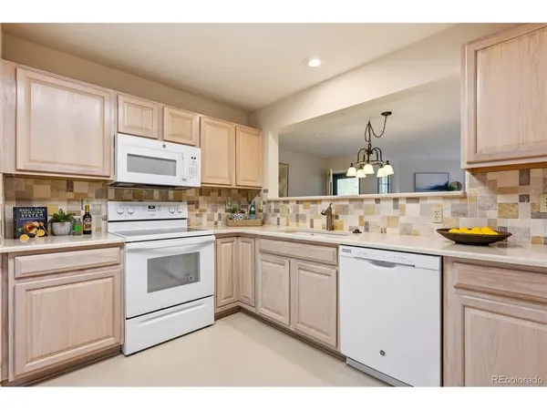 31719 Rocky Village #321, Evergreen, CO 80439