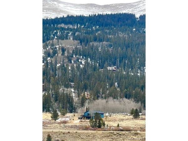 141 Quartzville, Alma, CO 80420