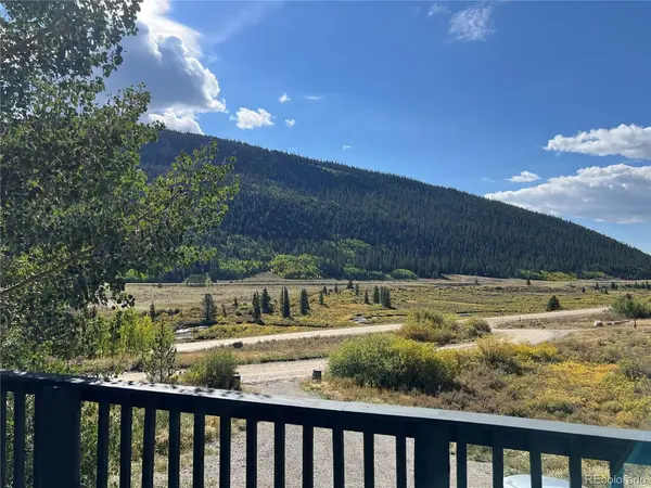 141 Quartzville, Alma, CO 80420