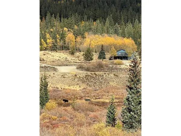 141 Quartzville, Alma, CO 80420