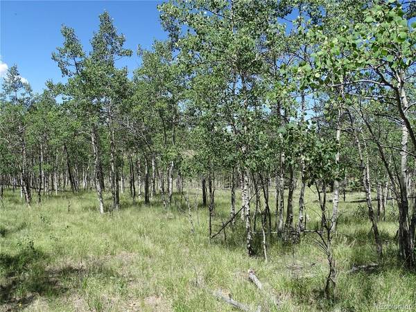 782 Bowstring, Como, CO 80432