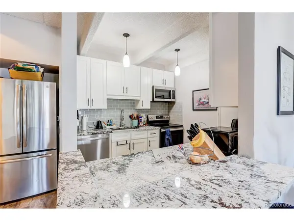 551 N Pearl #201, Denver, CO 80203