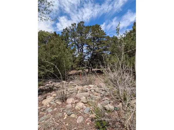 3825 Virtue, Crestone, CO 81131