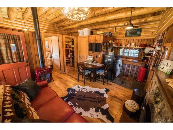 226 S San Juan Unit 10, Buena Vista, CO 81211
