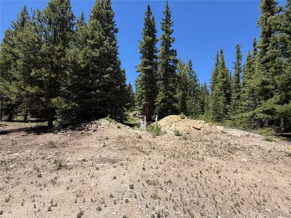 339 Silverheels, Fairplay, CO 80440