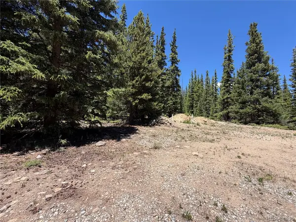 339 Silverheels, Fairplay, CO 80440