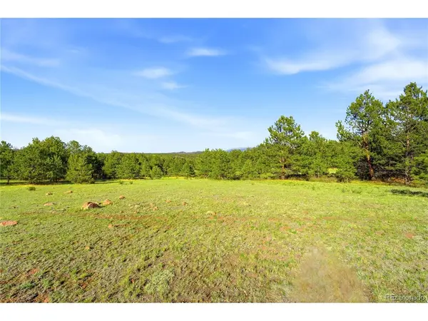 Doe Valley, Guffey, CO 80820