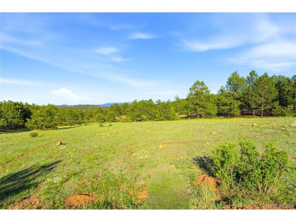 Doe Valley, Guffey, CO 80820