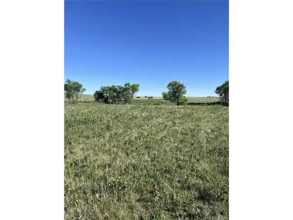 27933 Private Road 139, Simla, CO 80835