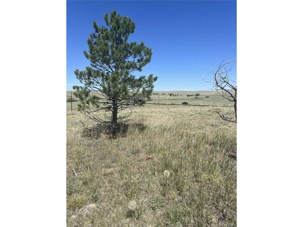 27933 Private Road 139, Simla, CO 80835