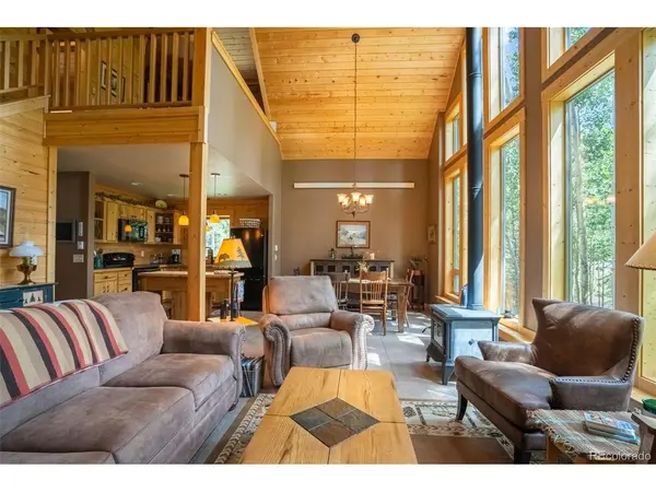 25879 County Road 162e, Nathrop, CO 81236