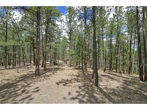 293 Badger, Florissant, CO 80816