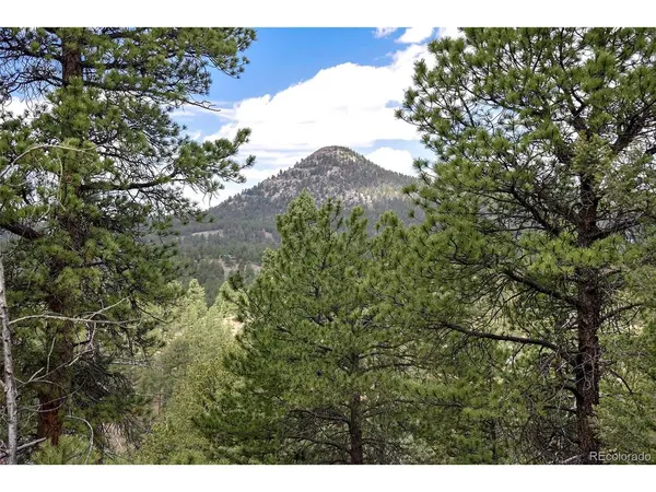 293 Badger, Florissant, CO 80816