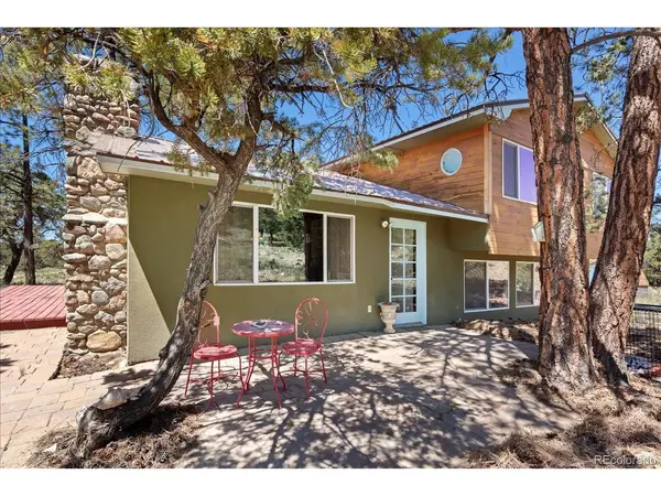 296 Palomino, Crestone, CO 81131