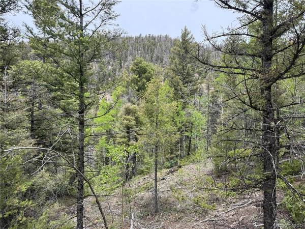 6795 Starkweather, Fort Garland, CO 81133