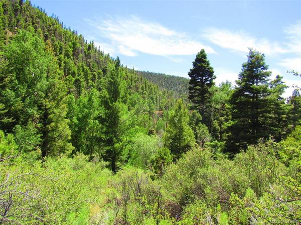 5526 Joy, Fort Garland, CO 81133