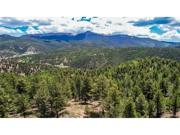 59 Robin, Divide, CO 80814