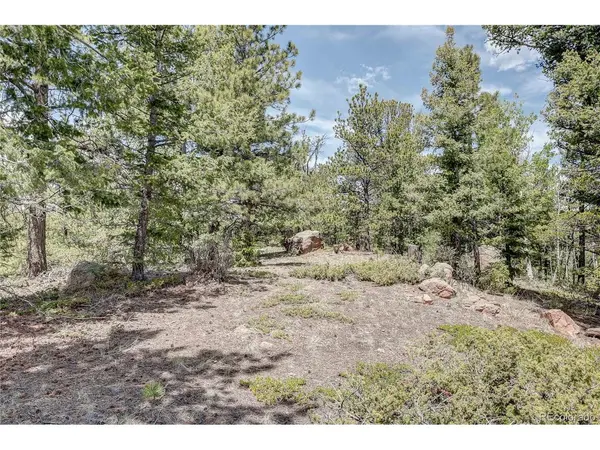 59 Robin, Divide, CO 80814