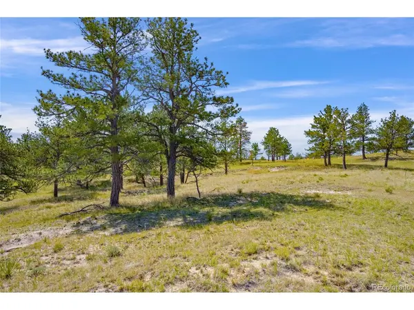 County Road 77, Calhan, CO 80808