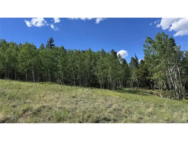 2 Mac Rock, Central City, CO 80427