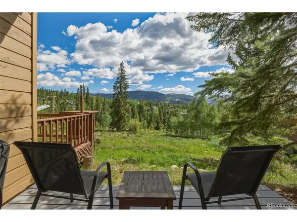 6726 Ryan Gulch #6726, Silverthorne, CO 80498