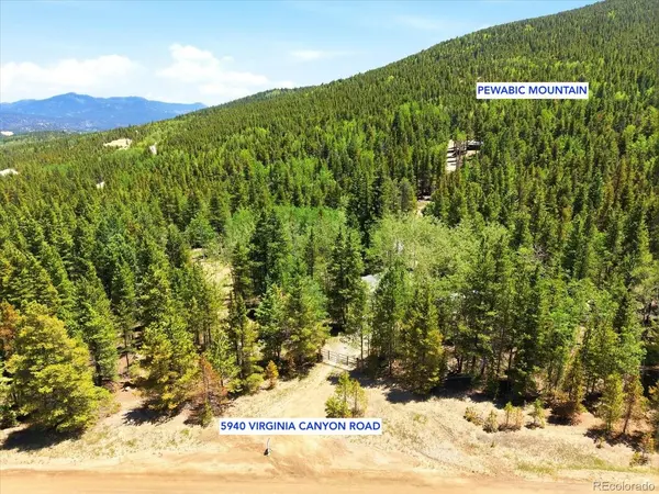 5940 Virginia Canyon, Central City, CO 80427