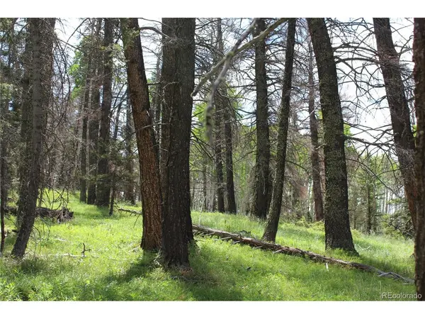 1650 Spruce, Cimarron, CO 81220