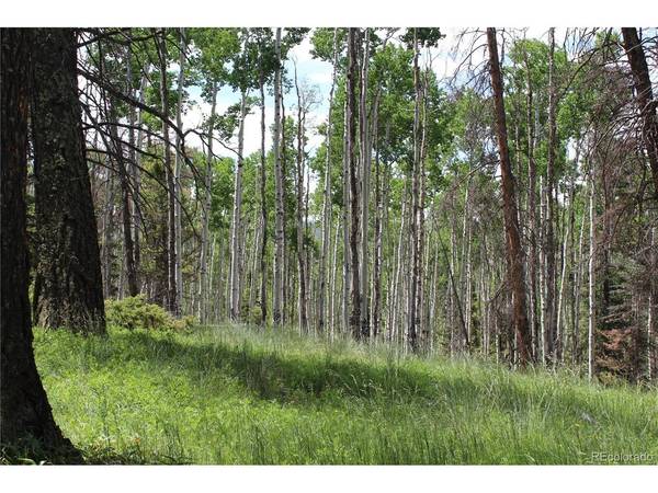 1650 Spruce, Cimarron, CO 81220