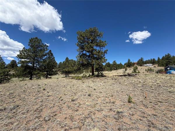 595 Bridle, Hartsel, CO 80449