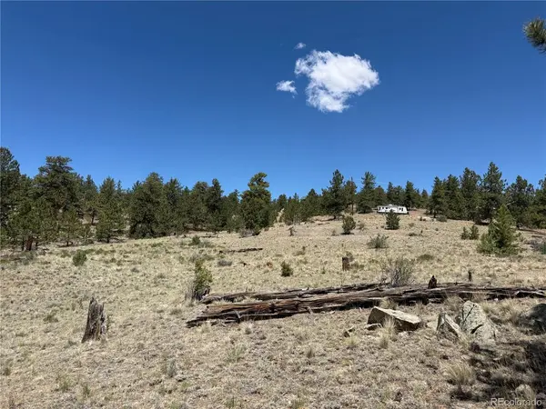 595 Bridle, Hartsel, CO 80449