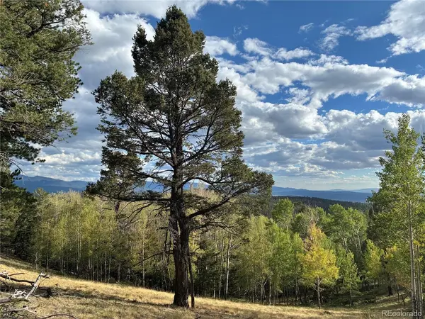 5597 Nettler, San Luis, CO 81152