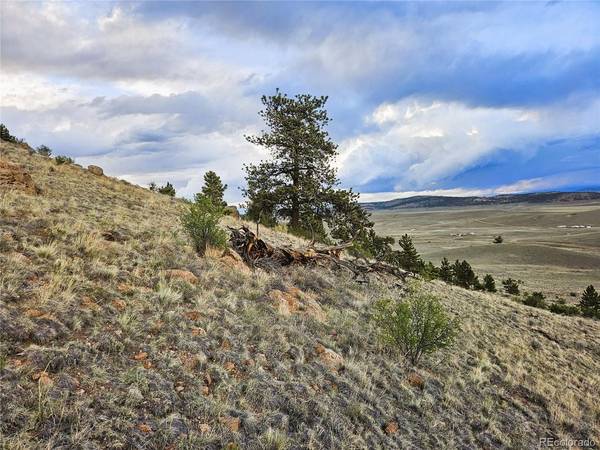 25468 Sioux, Hartsel, CO 80449