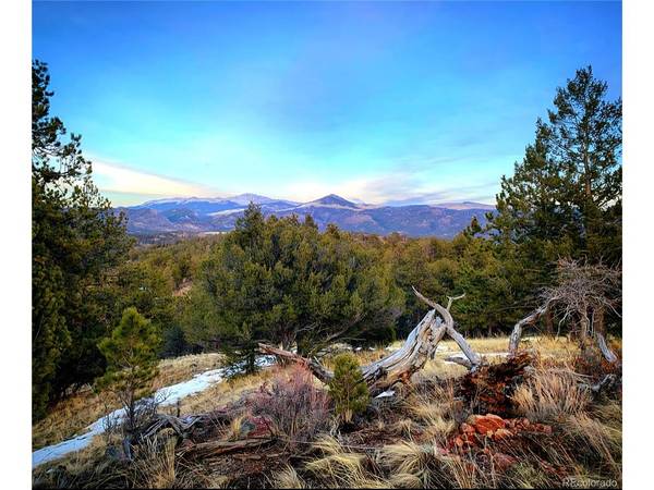 986 Apache, Florissant, CO 80816
