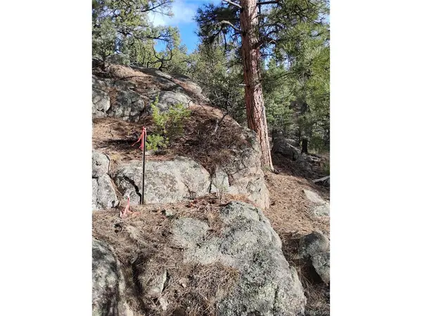 1105 Owens, Cotopaxi, CO 81223