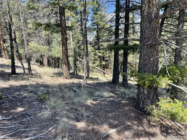 971 Spring Valley, Florissant, CO 80816