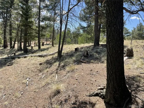 971 Spring Valley, Florissant, CO 80816