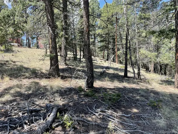 971 Spring Valley, Florissant, CO 80816
