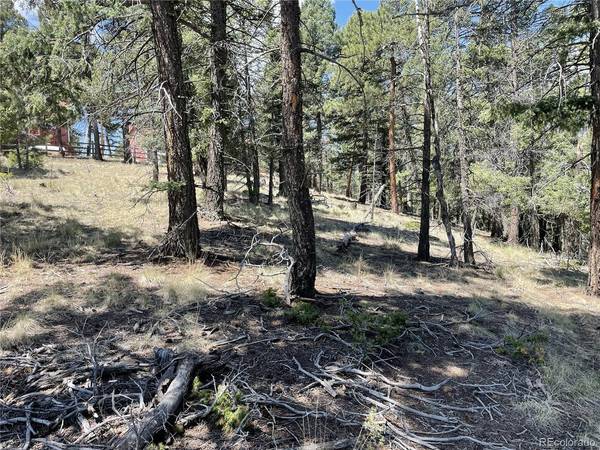 971 Spring Valley, Florissant, CO 80816