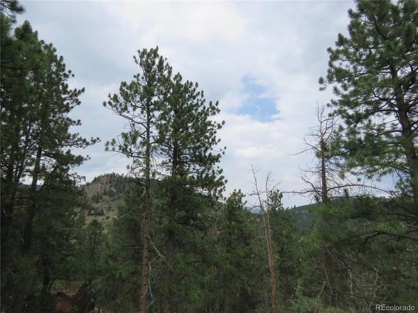 1899 Roland, Bailey, CO 80421