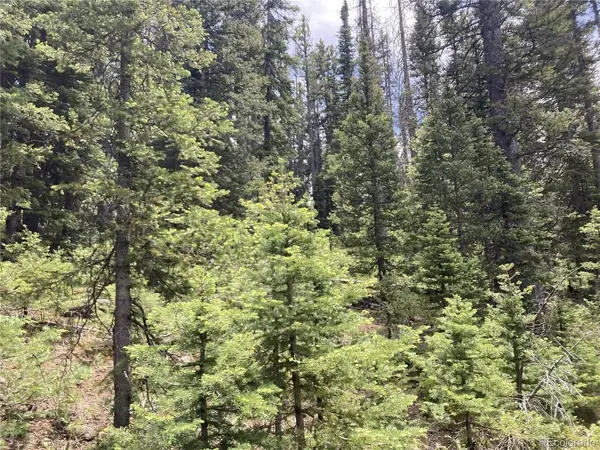 6614 Starkweather, San Luis, CO 81152