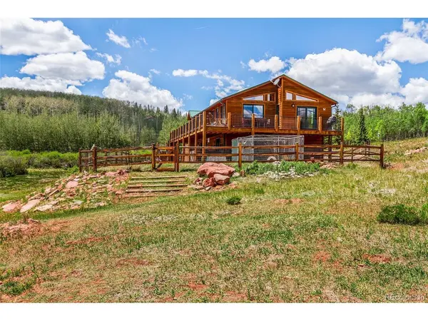 36 Iron Mountain, Fairplay, CO 80440