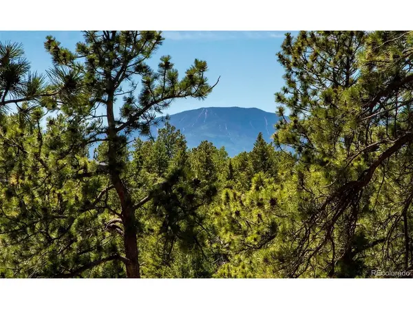 25997 Mountain View, Golden, CO 80401
